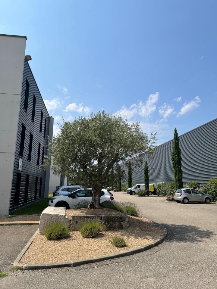 Bureau Saint-Priest 2181m² Location bureau Saint-Priest Rhône OLBUR2109029 13